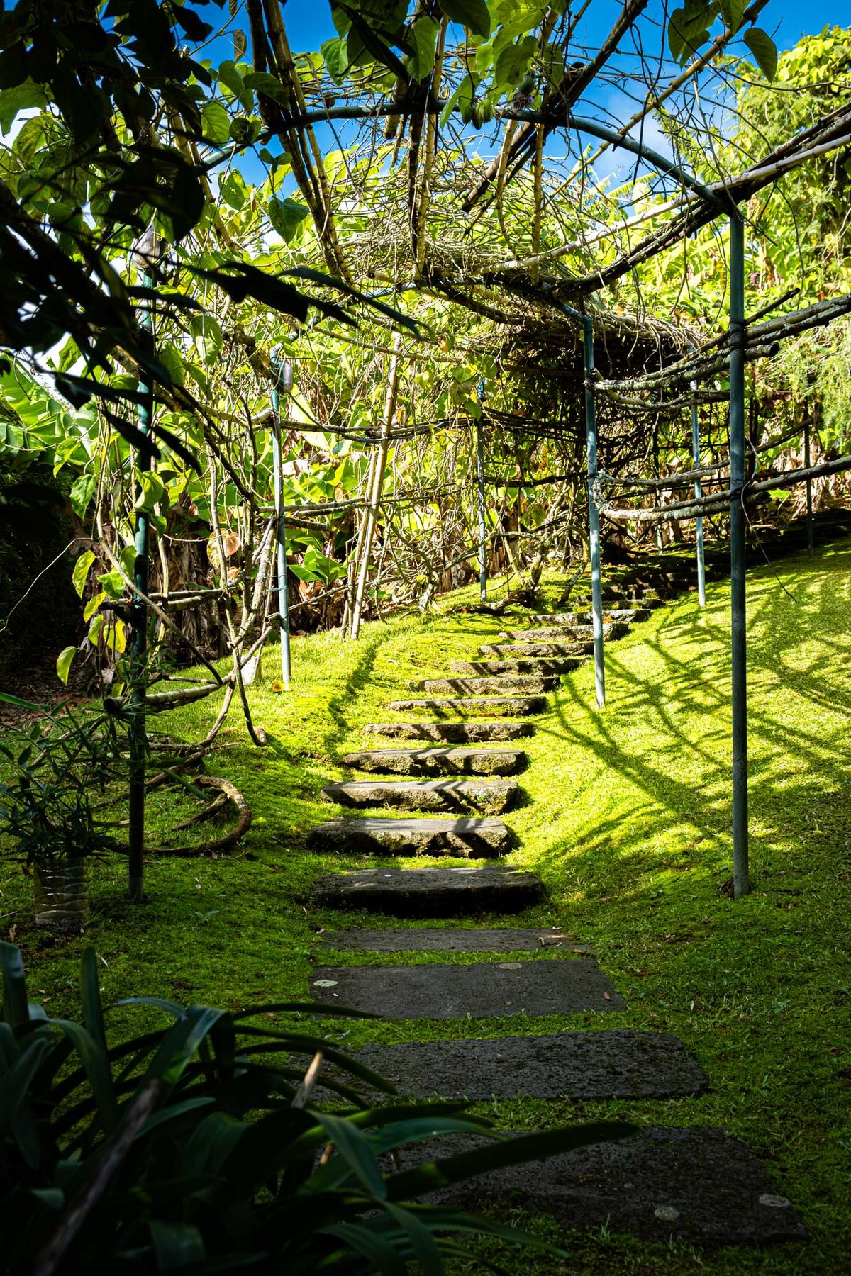 Pormenor vertical de cottage da Quinta dos Curubas